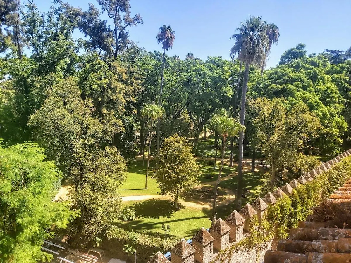 La Casa De San Fernando Con Vistas A Los Reales Alcazares Seville