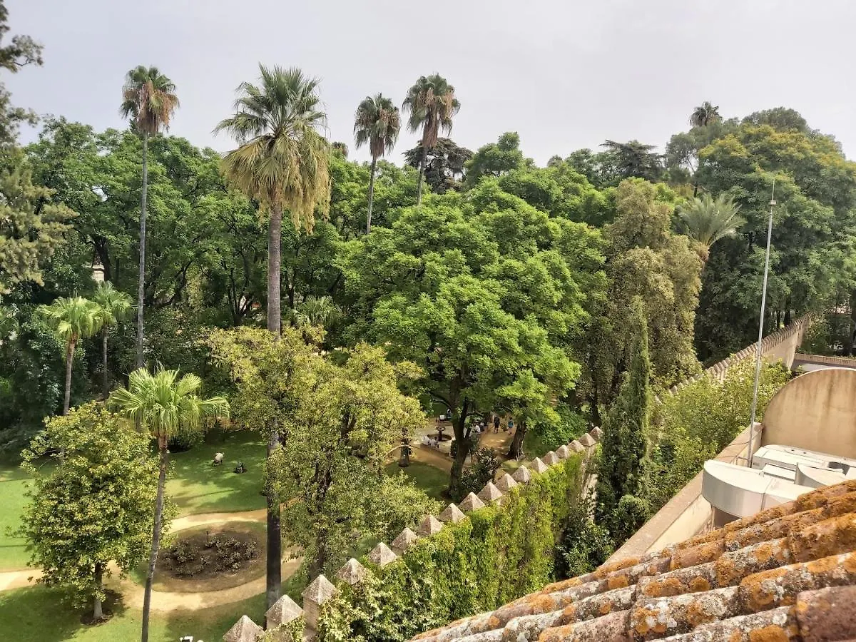 La Casa De San Fernando Con Vistas A Los Reales Alcazares Seville 0*,  Spain